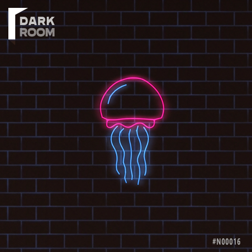 ::DarkRoom - N00016