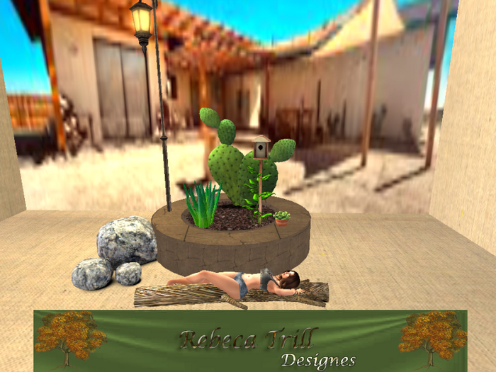 RT CACTUS POT DESERT