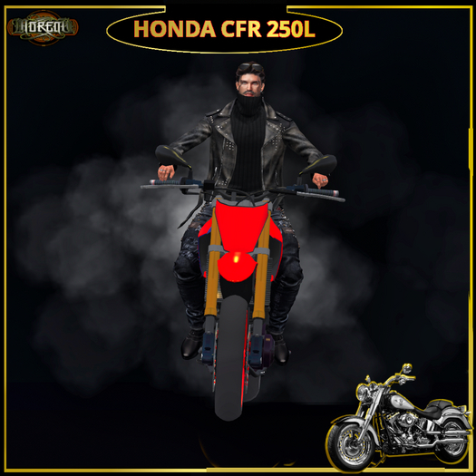 HONDA CFR 250L