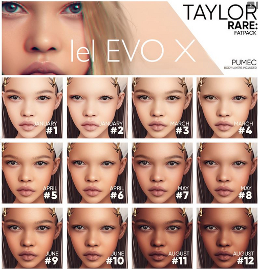 RARE   --- TAYLOR FATPACK ---  RARE