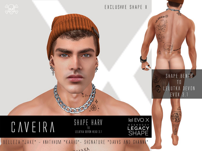 CAVEIRA - SHAPE HARV