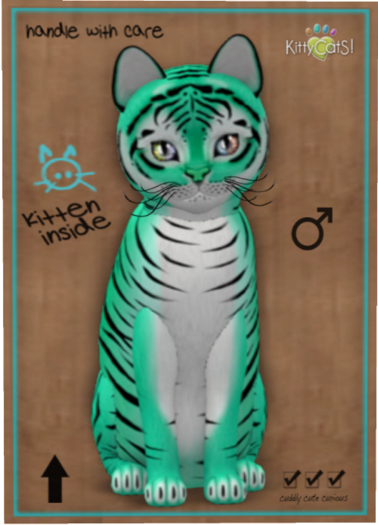 KittyCatS Box - Tiger! - Seafoam