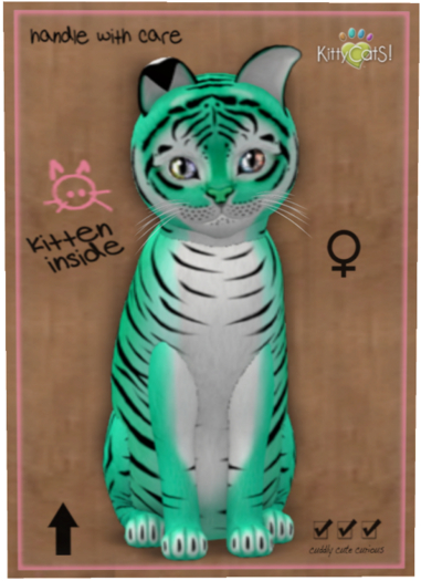 KittyCatS Box - Tiger! - Seafoam