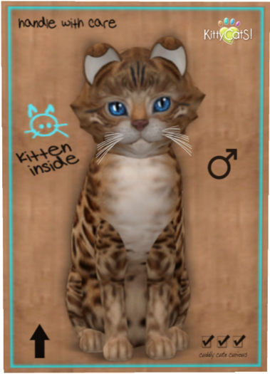 KittyCatS Box - Bengal - Sorell
