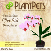 PlantPet Seed [Dendrobium Orchid *Sweetheart*]