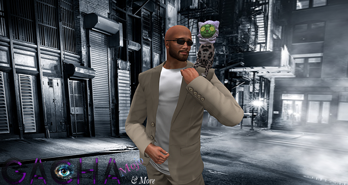 09.[Since1975] Cat Care Routine / Shoulder