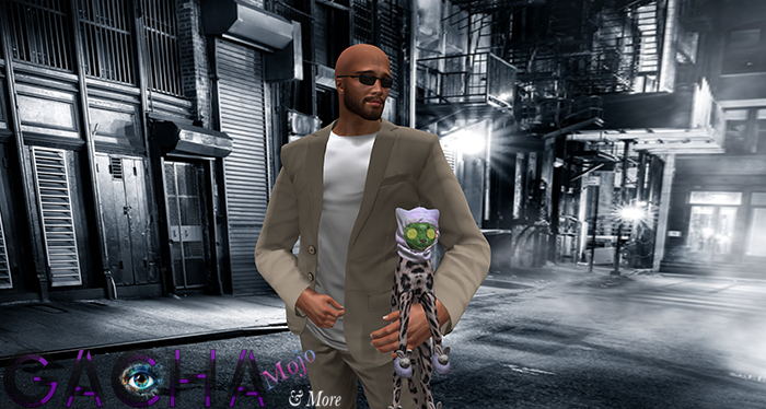 08.[Since1975] Cat Care Routine  / Arm