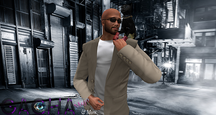 04.[Since1975] Boxer Cat / Shoulder