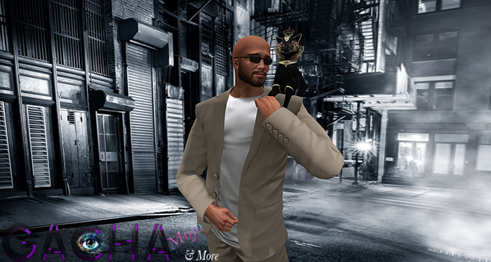 10.[Since1975]Queen Cat / Shoulder