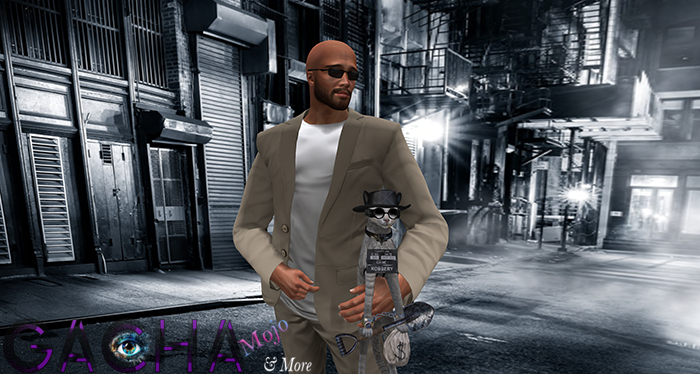 [Since1975] Funny Cats *FULL SET W/ RARES*