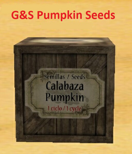 G&S Pumpkin Seeds