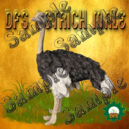 DFS Texture Ostrich Male