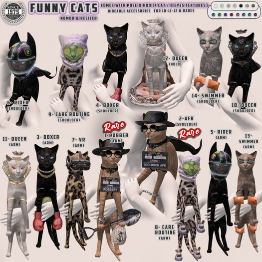05.[Since1975] Rider Cat / Arm
