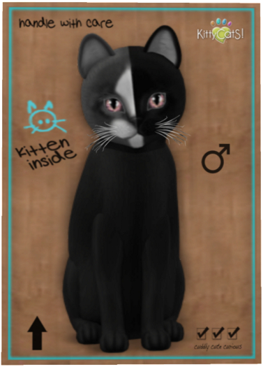 KittyCatS Box - Chimera - Black Grey