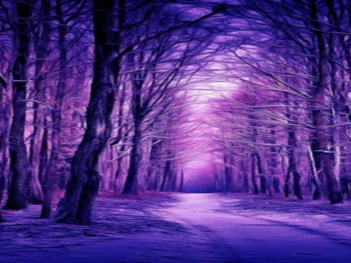 Purple Journey Texture