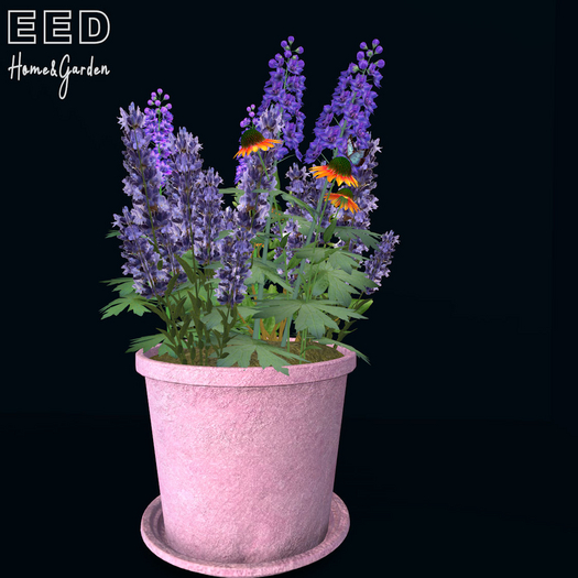 EED's SUMMER CARNIVAL POT 1 resizer c