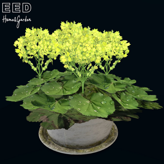 EED's SUMMER CARNIVAL POT 3 resizer c