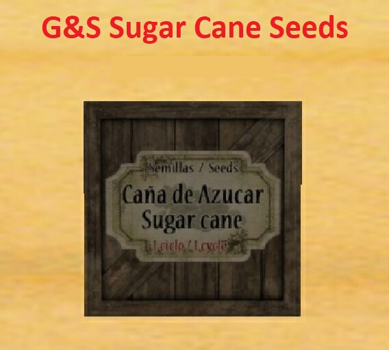G&S Sugar Cane Seeds