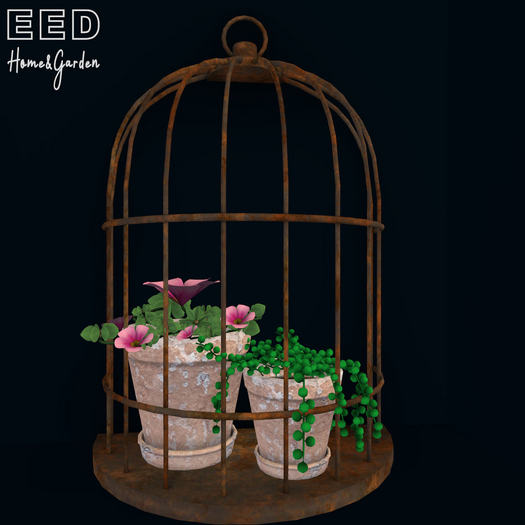 EED's WALL DECO BIRDCAGE SUCCULENTS res c