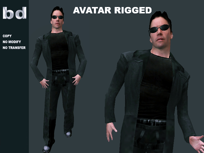 [bd] AVATAR RIGGED NEO UNPACK
