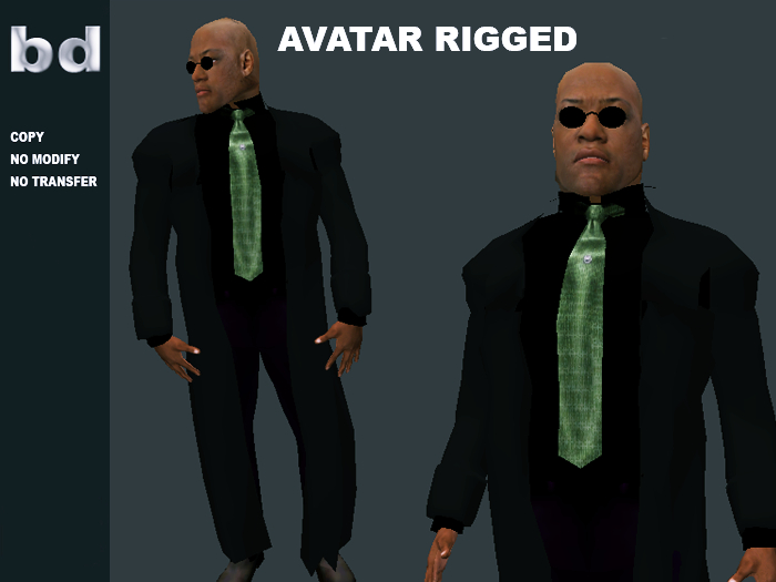 [bd] AVATAR RIGGED MORPHY UNPACK