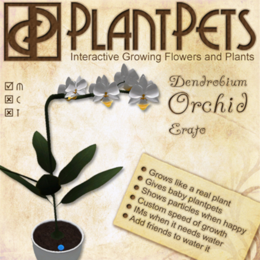 PlantPet Seed [Dendrobium Orchid *Erato*]
