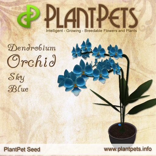 PlantPet Seed [Dendrobium Orchid *Sky Blue*]