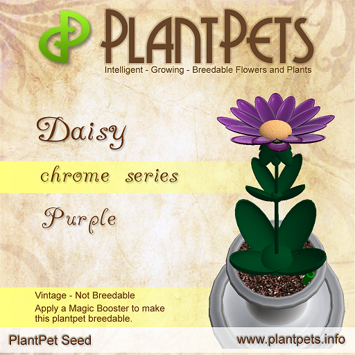 PlantPet Seed [Daisy *Chrome Purple*]