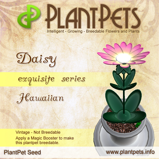 PlantPet Seed [Daisy *Hawaiian*]