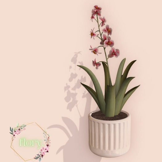 flory. - Potted Lilly - Pink