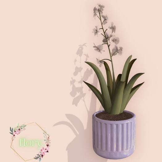 flory. - Potted Lilly - White