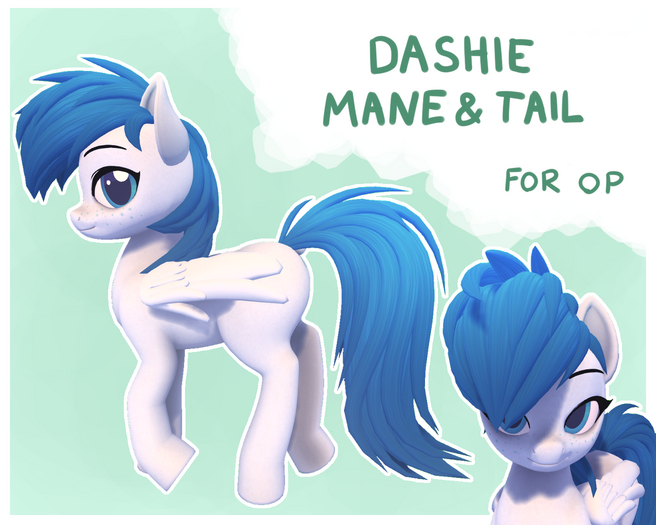 [OP] Dashie Mane & Tail