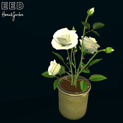 EED's ROSE CREAM res c