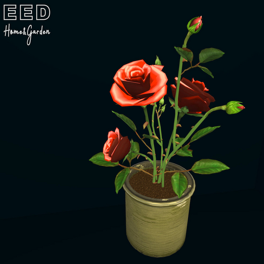EED's ROSE LIGHT RED res c