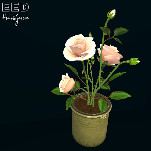EED's ROSE SALMON res c