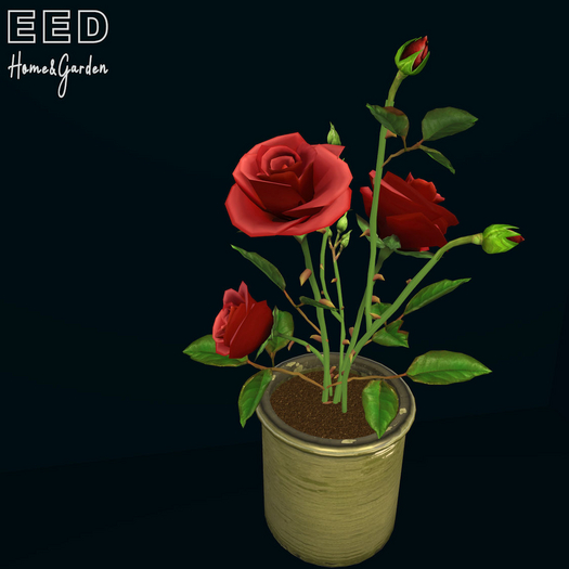 EED's ROSE SOFT RED res c