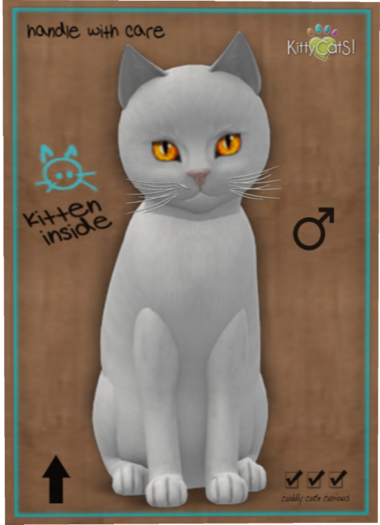 KittyCatS Box - Russian - White