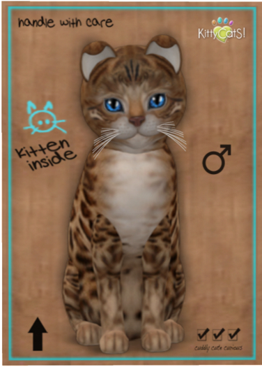 KittyCatS Box - Bengal - Sorell