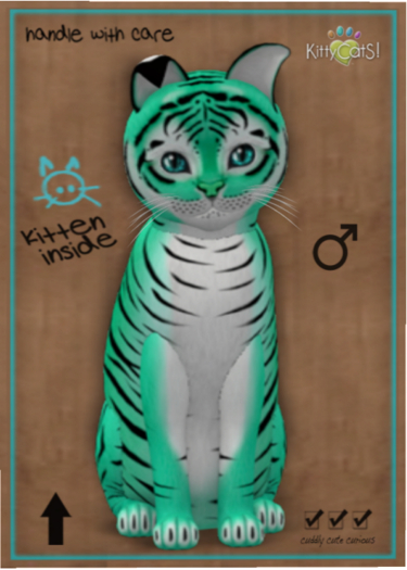 KittyCatS Box - Tiger! - Seafoam