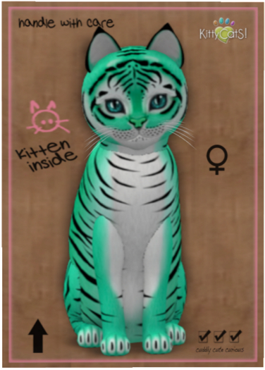KittyCatS Box - Tiger! - Seafoam