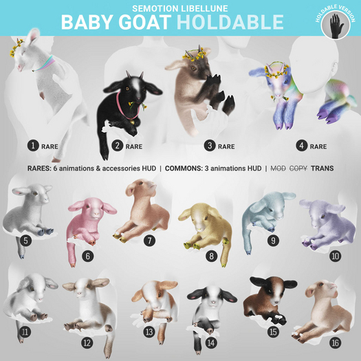 3. SEmotion Libellune Baby Goat Holdable RARE