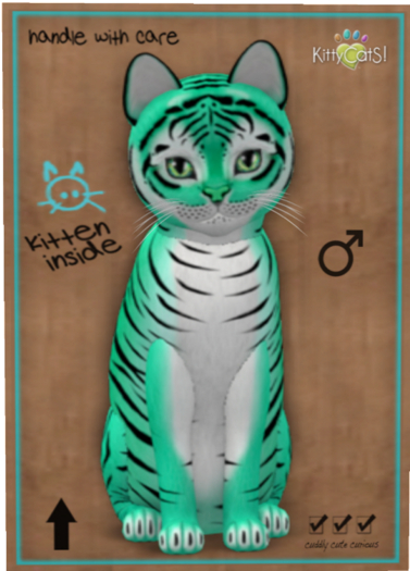 KittyCatS Box - Tiger! - Seafoam