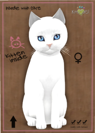 KittyCatS Box - Russian - White