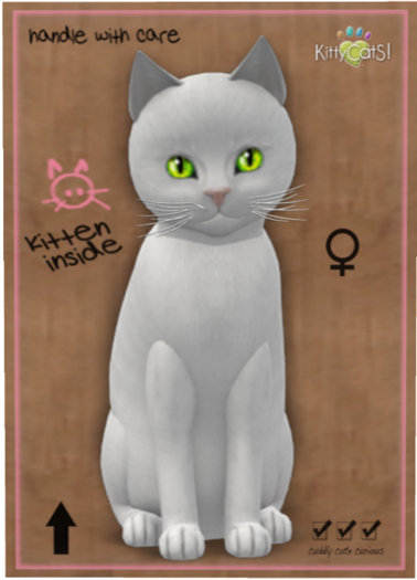 KittyCatS Box - Russian - White