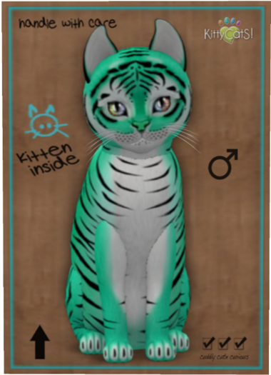 KittyCatS Box - Tiger! - Seafoam