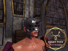 [BT] Marauder Helm (Tintable)