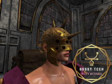 [BT] Marauder Helm (Bronze)