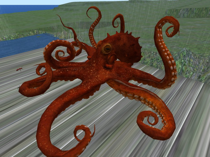 TM Octopus - Prop - FP - Full Permissions