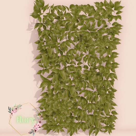 flory. - Ivy Wall - Summer