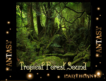 Bunny's Sounds-Tropical Forest Sound